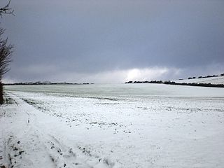 A wide, bare snowy field. Trees are just visible on the horizon.