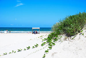 A photograph of a beach in Corpus Christi, TX