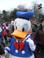 A photograph of a person in a Donald Duck costume