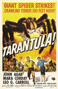 A movie poster of the 1955 movie Tarantula! It shows a giant tarantula wreaking havoc, with a woman in its grasp and a couple running away, screaming.