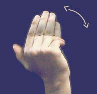 A photograph of a person’s hand making a sign language motion: the fingers bend and the hand waves back and forth