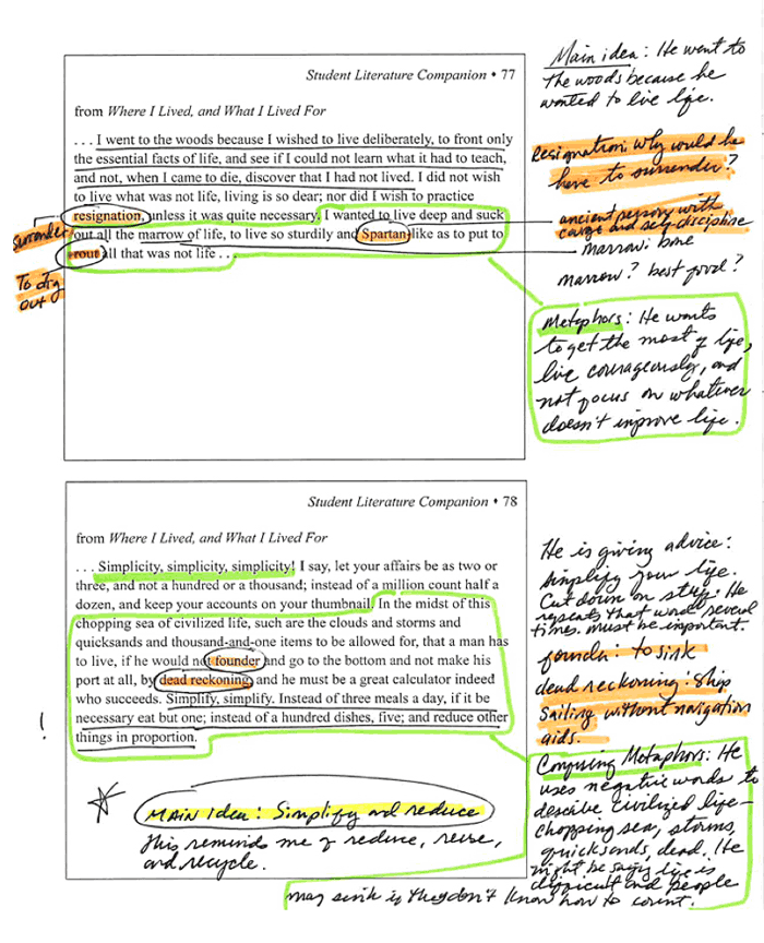 Example of Annotated Page