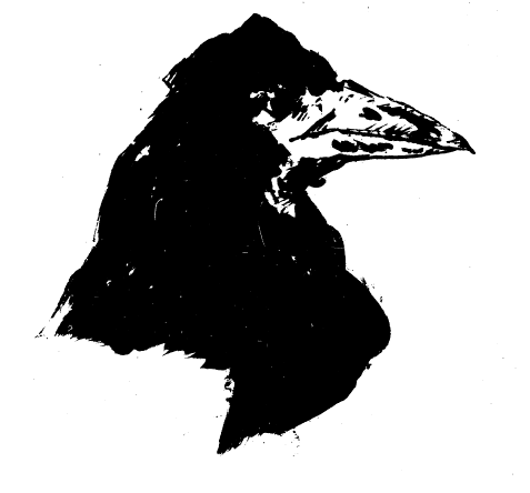 A black and white drawing of the head and breast of a raven