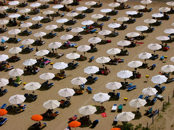 A photograph of lines of beach umbrellas and chairs on a beach.