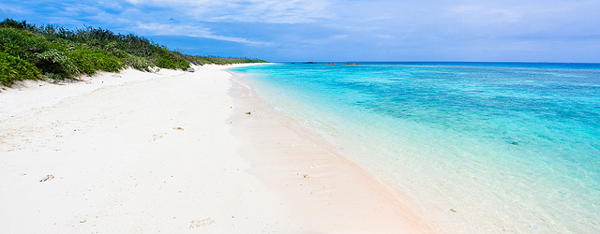  Photo of a beautiful blue, turquoise ocean and white sand beach below a small hill of dunes covered by lush green vegetation