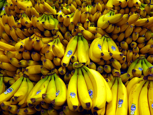 A photograph of a pile of bananas