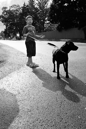 A photograph of a boy and dog with the dog on a leash