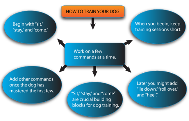 a cluster diagram illustrating ways to train your dog