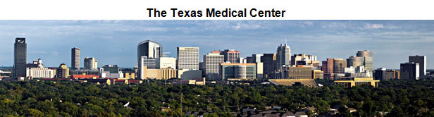 Panoramic view of the Texas Medical Center