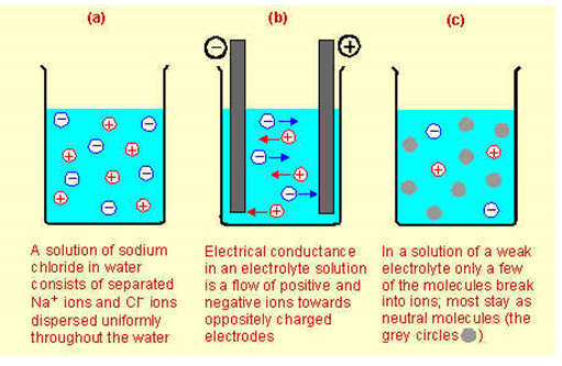 Strong And Weak Electrolytes Melissa Media