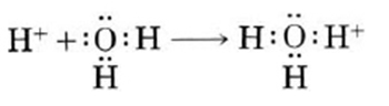 hydrogen and hydroxide ions