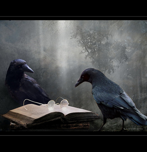A surreal image of two ravens in a darkened, misty forest. They stand on either side of an old, moldering book, as if reading it, or attracted by the light shining on the pair of antique glasses sitting on the book.