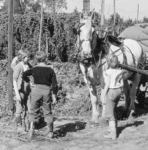 A photograph of several children, girls and boys, working on a farm. Behind them is a draft horse hitched to a wagon.