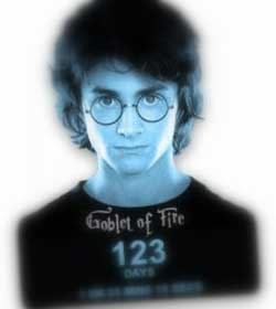 Image of Harry Potter, “Goblet of Fire” cover