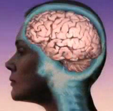 A ‘see through’ image of a brain inside of a woman’s head