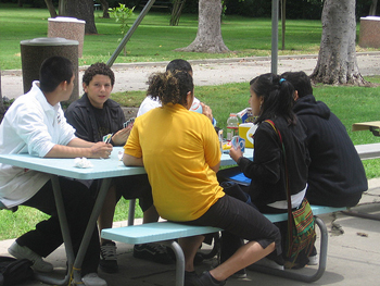 Six students eating and playing cards at a picnic table