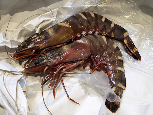 A photograph of two Tiger prawns laying on butcher paper
