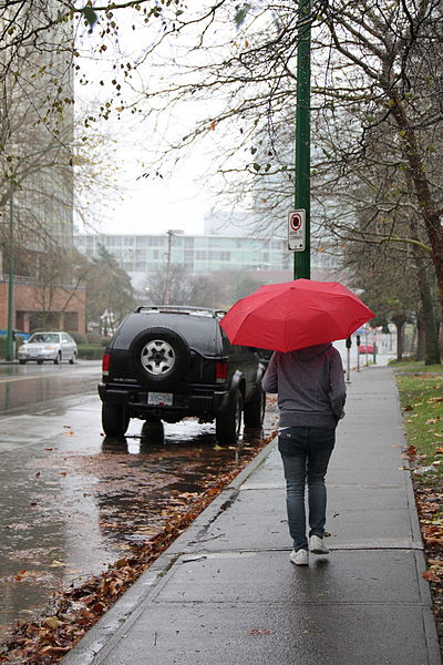 Relevant Information And Valid Inferences English I Writing A Photograph Of A Person Walking Down A City Sidewalk With An Open Umbrella English Essay Topics For College Students also High School Essays Topics Essay Papers Online