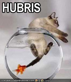 A cat kitten struggles to free itself from a fishbowl, while a goldfish in the bowl chews on his tail.