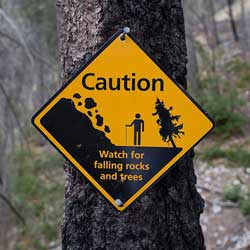 A photograph of a sign in a park that cautions people to “watch for falling rocks and trees”