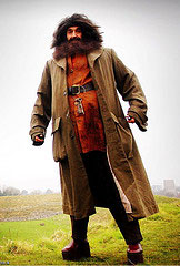 A photo of a man dressed like Hagrid from the Harry Potter series