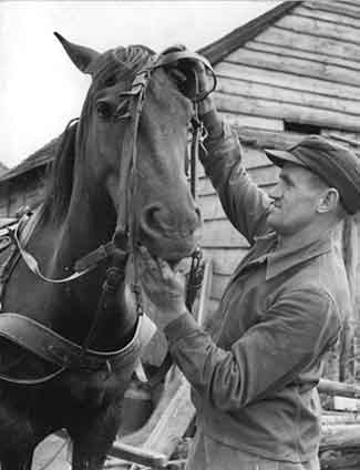 A black-and-white picture from the 1950s showing a friendly-looking farmer, maybe in his mid-thirties, fitting riding tack on his horse