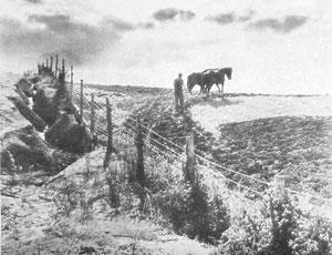 A farmer from the Great Depression era follows two horses through a dry, barren field.