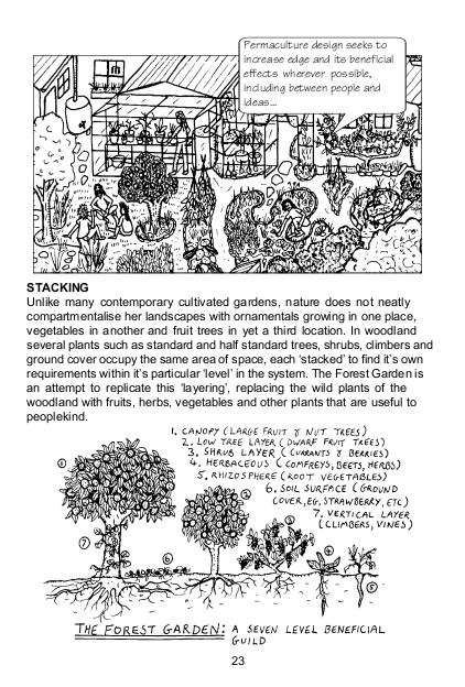 Ink drawings of a garden and greenhouse showing where plants and trees should go and how to plant them according to height is at the top of the page. A headline in the middle of the page says stacking. The paragraph beneath headline reads “unlike many contemporary cultivated gardens, nature does not neatly compartmentalize her landscapes with ornamental trees growing in one place, vegetables another, and fruit trees yet a third location.” seven different “layers” of gardening are shown on lower section page as an illustration labeled forest garden” showing these layers according to height, from a tree down to a very small plant. The drawing is black and white. There is a lot of information on the page and a low-tech design.