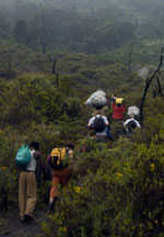 A photograph of hikers with large backpacks and gear climbing a slope