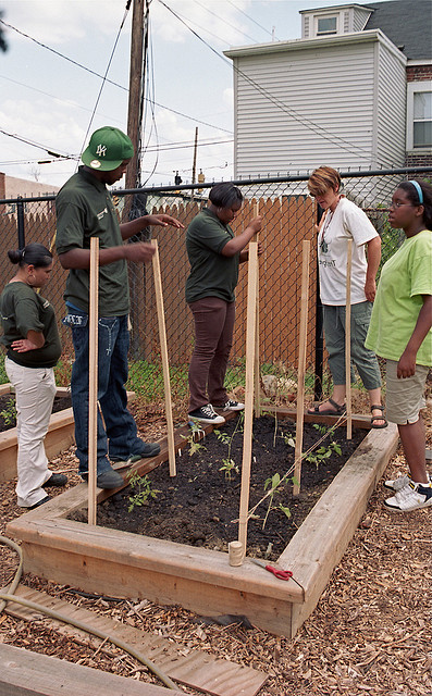 A photograph of several teens working on an urban vegetable garden plot.