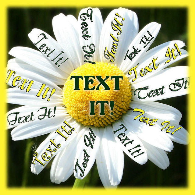 An image of a daisy with the words “text It” in the middle. The petals have “Text It” on them although in different fonts.