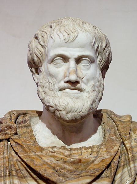 A marble bust of the Greek philosopher Aristotle. He is a middle aged man with a full beard and moustache wearing a toga.