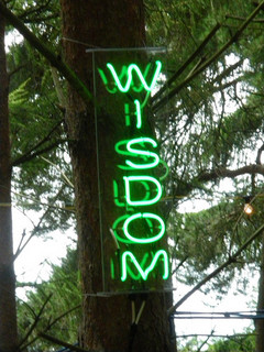 Image of neon sign that says “Wisdom” against a tree.