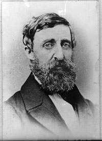 black and white photograph of Henry David Thoreau