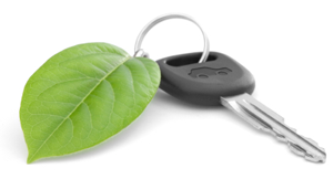 Image of leaf key chain attached to car key