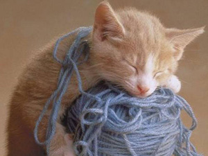photo of orange kitten sleeping on a ball of lavender-colored yarn