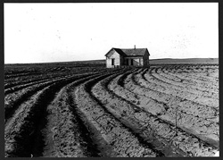 Image of Farm during the Great Depression