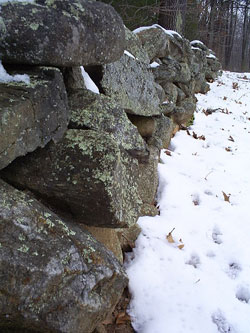 Photo of Mending Wall