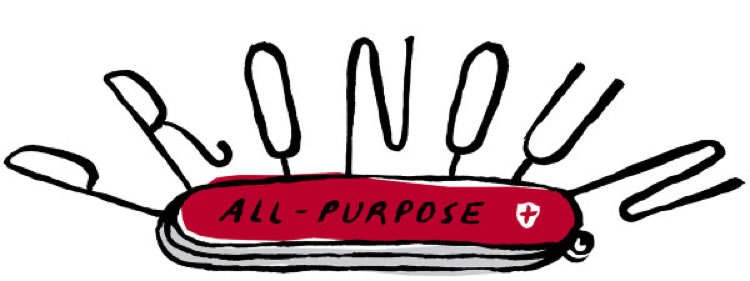 image depicts an “all-purpose” pronoun that could be used in any sentence, thus avoiding having to learn pronoun rules