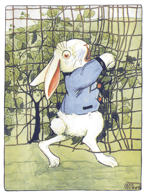 :  A colorful illustration of Peter Rabbit trying to climb a wire fence.