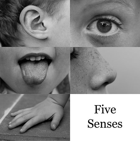 A series of photographs depicting the five senses: a young boy’s ear, eye, tongue, nose, and hand.