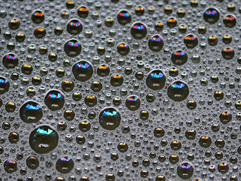 A photograph of multi colored bubbles on the surface of water, each bubble reflecting the light.