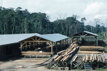 A photograph of a saw mill; There are several buildings and various piles of cut lumber.