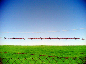 A photograph of a field on a sunny day. In the foreground is a fence topped with barbed wire.