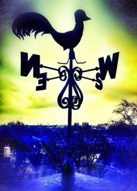 A photograph of a weather vane with a bird on it. It shows the directions as N, S, E, and W.