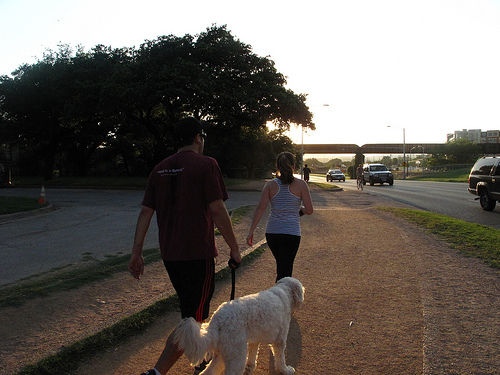 A photograph of a couple walking with a dog on a walking/jogging trail