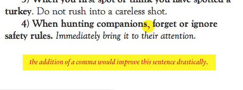 An image of text that reads “When hunting companions forget or ignore safety rules” It tells the reader that, “the addition of a comma would improve this sentence drastically.”