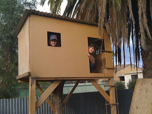 A photograph of two young children in a tree house that they have just built. It has a roof, walls, a door opening, and a window cut out. It is accessed by a rope ladder.