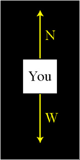 free body diagram showing you, vector N up, and vector W down