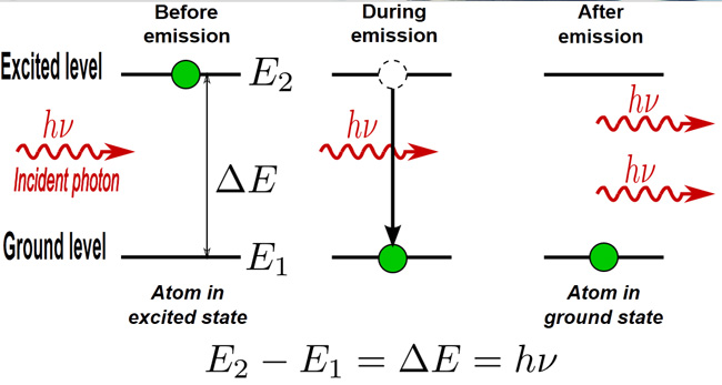 electron absorbing energy to go to a higher energy level then falling back to ground state to emit a photon